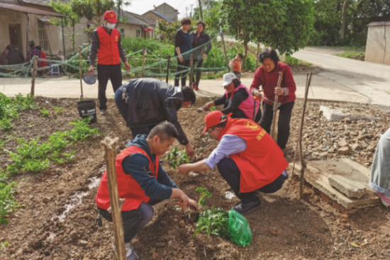 微信截图_20210508084259