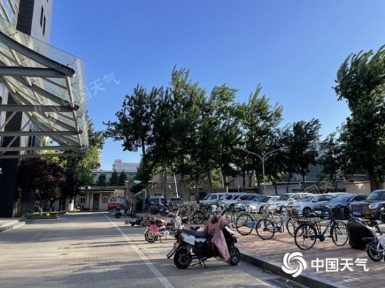 风不停！北京今明天大风连刮“不下线” 局地阵风仍有【7级】