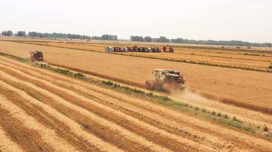 2f82986f-1a12-47cb-8bbe-63b3bd2f1e69.jpg.1