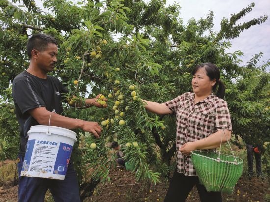 2240b80f-539e-48a1-9a9a-0481e2aa3f2c