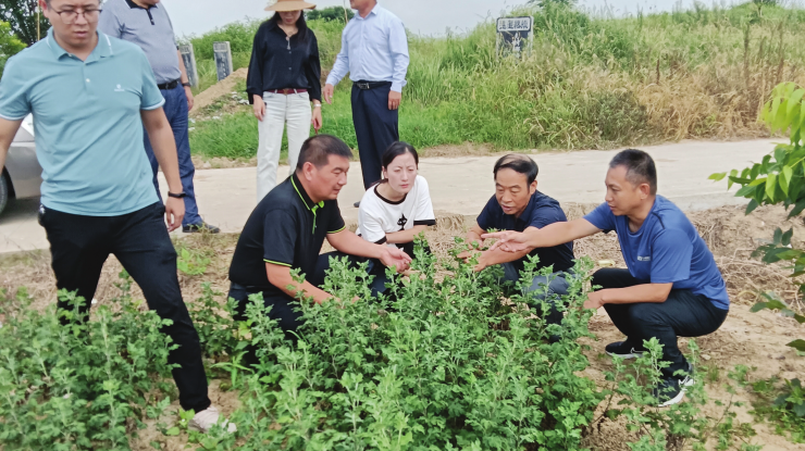 科技指导到田头