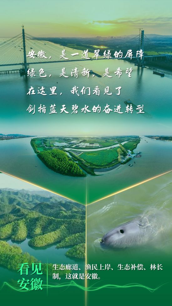 6a48c71ace3a4bc8a793f7c609e815fd