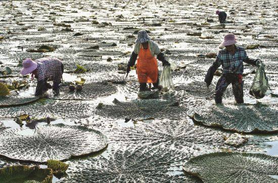 80b179cb-af7b-4f91-9fbc-02e65041ac1b