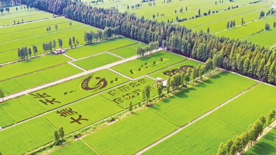 0c8653db-28de-4372-98e7-d3ee702210af