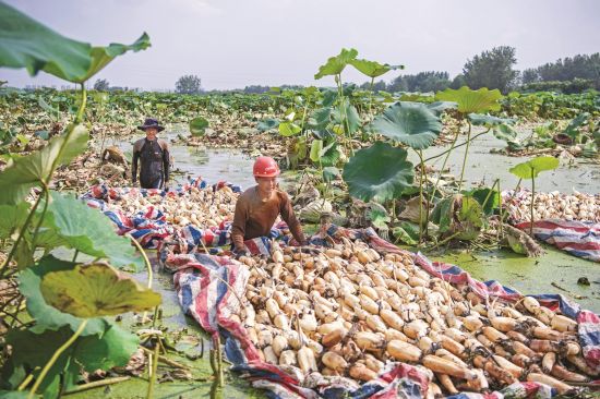 06afe674-e34d-478f-9a58-9b48658f89ba