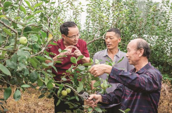 d3e57b07-6e0e-472b-a560-9522c2f2f106