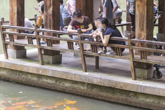 10cc4c80-9ba3-4785-88ef-ce8eee411365