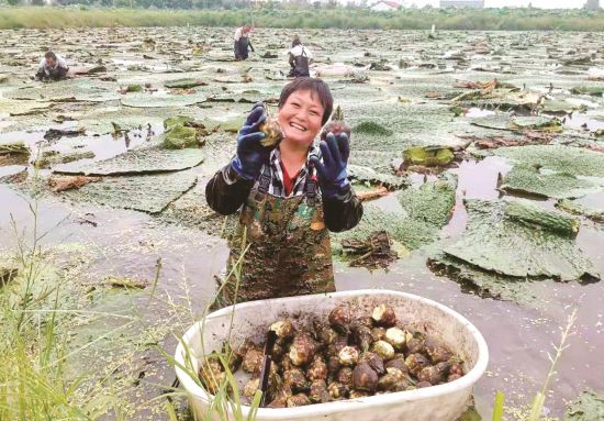 ba5e962e-9a84-478c-9e0b-1e3ea7833e88