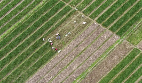 58c4f189-2b28-4162-94b1-e8d02df51c26