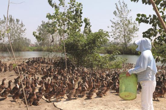 102f0871-6d9b-4b02-9b07-928048d2d23a