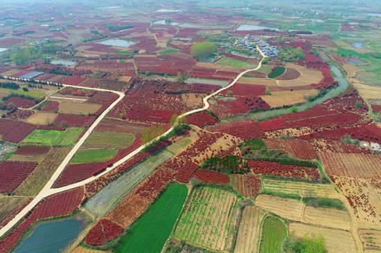 LOCAL202109170859000441458403866