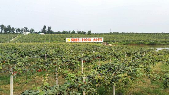 LOCAL202109170900000379315675455