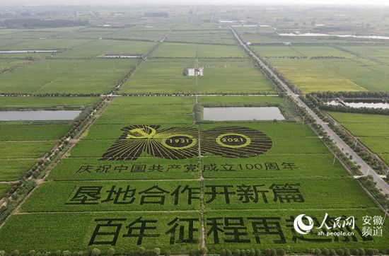 LOCAL202109170900000591369941880