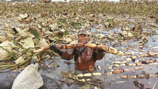 9ddf0064-bec2-4f96-bf47-77a84fd6dae5