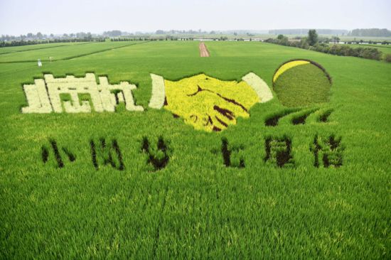 566f428d8a1a448bb43eeeb82bc387ce