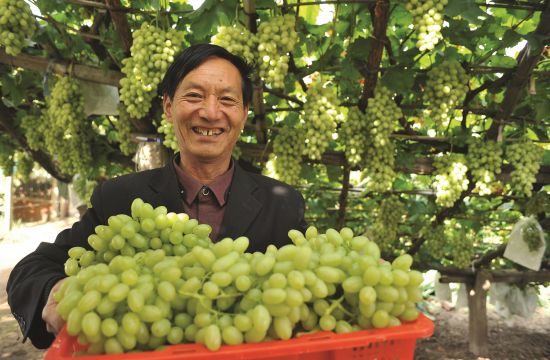 da58ea8a-2c4d-4bbd-bfb5-dc293dce7a57