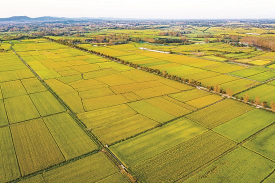 e371daf5-87b2-4063-aeb2-1f788a202ca3