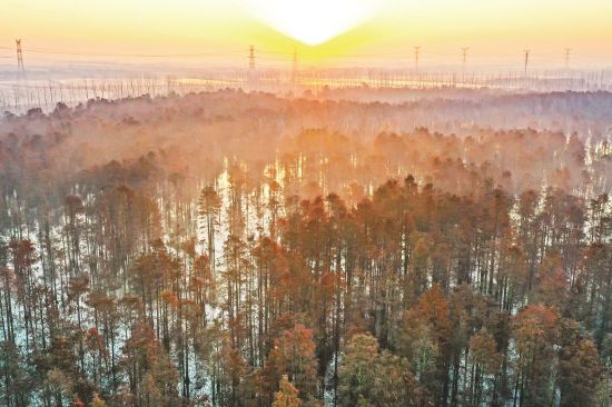 c5850859-a4de-49d5-ba35-803432178c6e