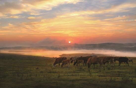 048704a2-42a7-4261-b91e-7adb2f54abbb