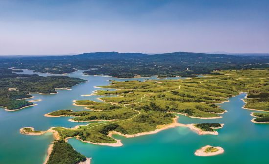 01e99465-090f-41e9-a1e1-6300c2c6fbc7