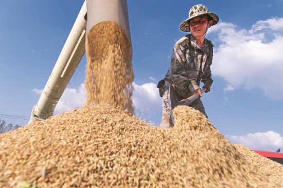 4443a910-040e-4d8e-a3df-a9bf98dff766