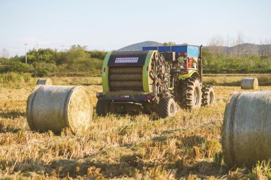 7d92f31c-134e-4d92-9345-5975d54fb0ed