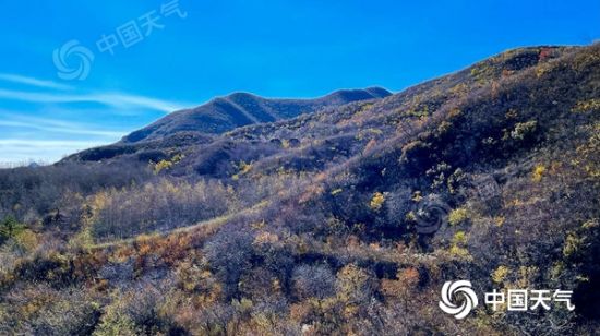 1127966686_16344606760781n