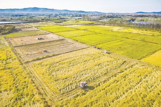 d392a690-4bc1-45fe-9663-0ece17e40641