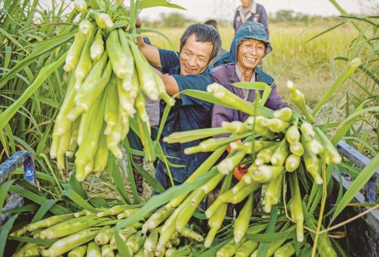 1ce4244b-4a1f-4677-928f-44c1c6c78e67