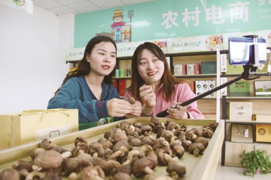 21f55ce8-8cda-4bbb-b3ee-1ffc9578199b