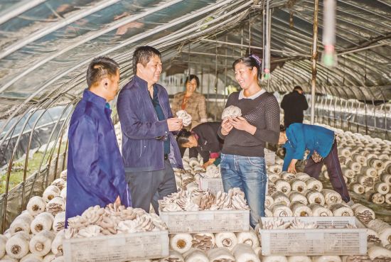 2ad8a73d-7d2e-417b-9e78-ec408a60477d