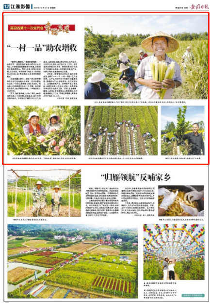 微信截图_20211021084249