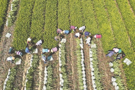 95759ba5-8722-4cea-b9c5-26f0546ea2fb