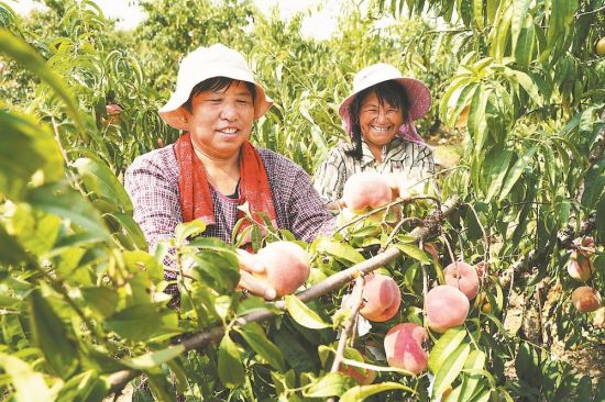 20d10d81-2982-46d6-aa3f-15f697ee3c7a