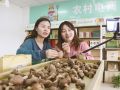南谯：农村电商助力乡村振兴