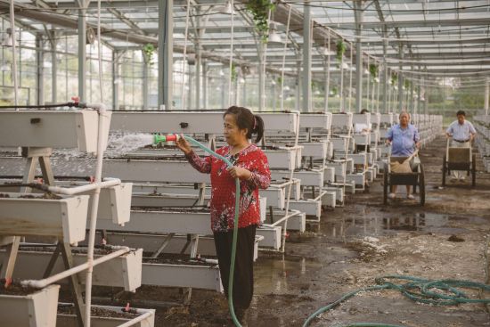 a04b625f-8b5a-4875-88ef-cec1f13556cd