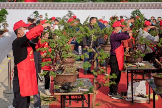 LOCAL202110261005000058227622907