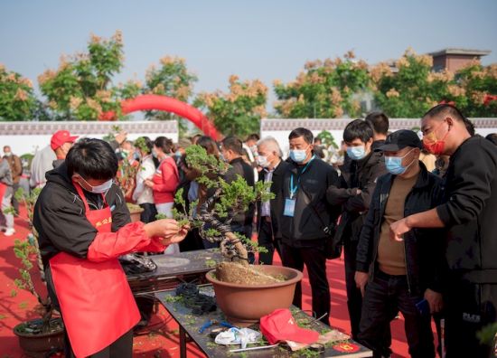 LOCAL202110251742000066919061908