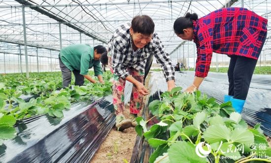 1128003029_16353741297231n