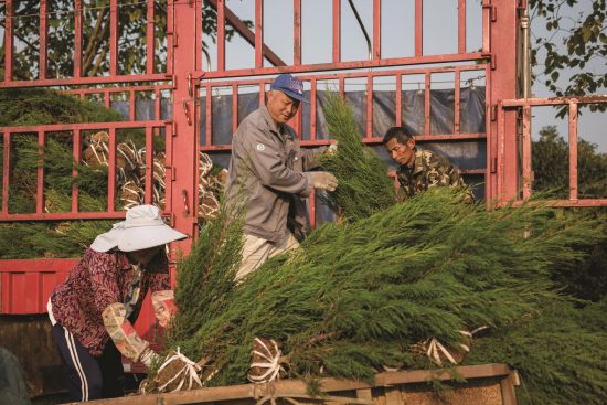 63247e64-11f8-450a-ab92-00b888df4ca8