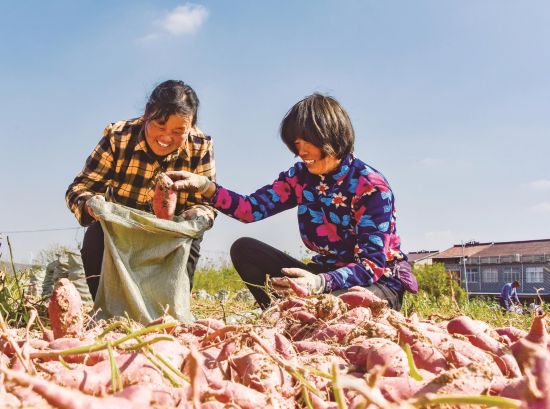 bcf0d04a-d924-4b97-bea8-f693874f68bb