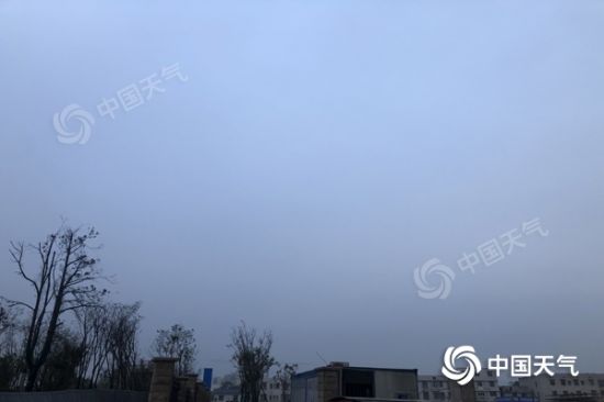 1128023376_16358492056131n