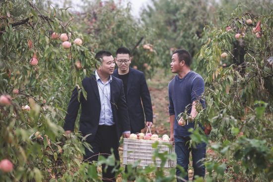 74897b52-bd15-495f-a973-f40f3825c856