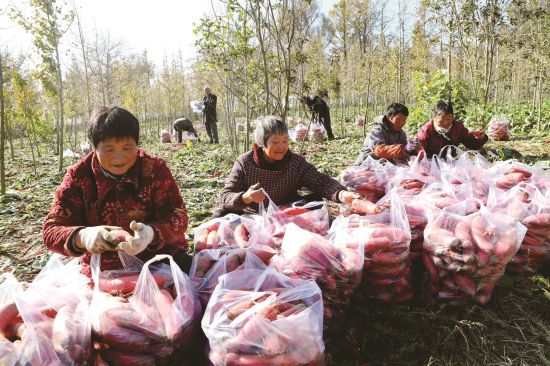 2aa2c5af-f8f0-47a1-8d51-145cec5a3091