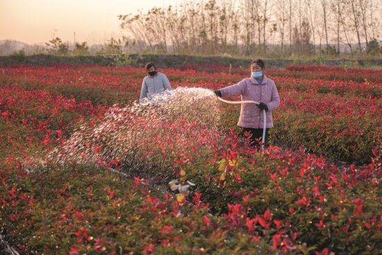 47077182-18b5-42e6-b1f1-cf763eb0ab7f