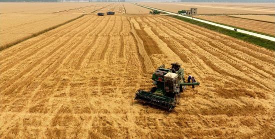 LOCAL202111151623000299710870165