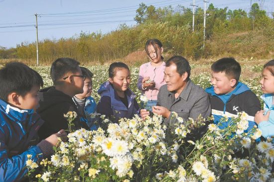 7aba953f-14e9-41a1-8393-319a91dc49f4