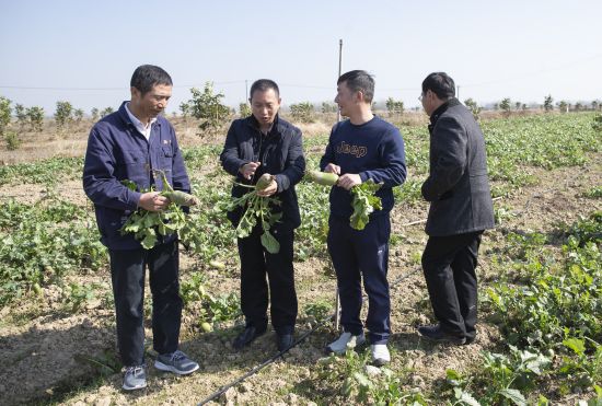 微信图片_20211117091041