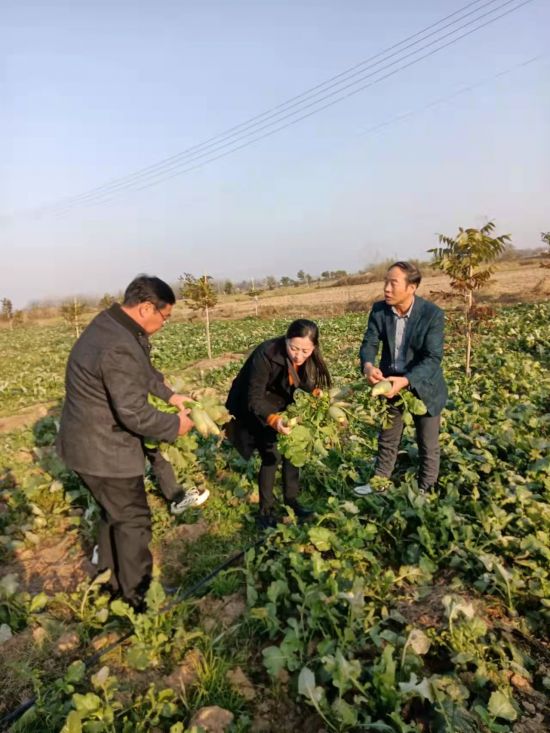 微信图片_20211117091045