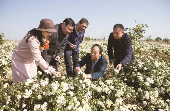 377a0af2-6e6a-4555-87f7-0ce234c57b30